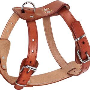 Beirui Genuine Leather Dog Harness